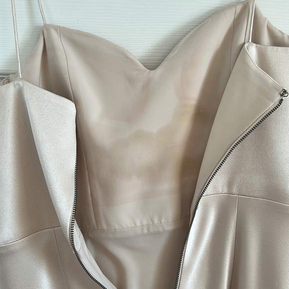 Alice + Olivia Kiyoko Champagne Midi Dress - Picture 6 of 9